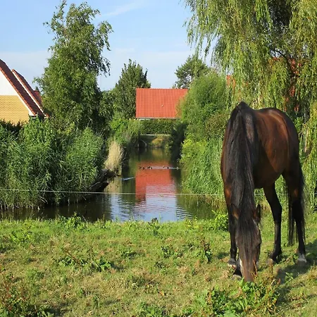 Hébergement de vacances House With Dishwasher, 19 Km From Hoorn